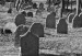 Sedmihoří + Židovský hřbitov u Prostiboře 001